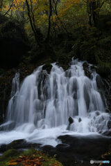 撮って出し(2025-11-04_07-06)-(Canon EOS 6D-28