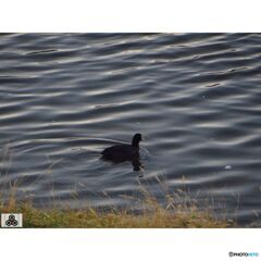 撮って出し(2023-11-16_06-33)-90--Canon PowerS