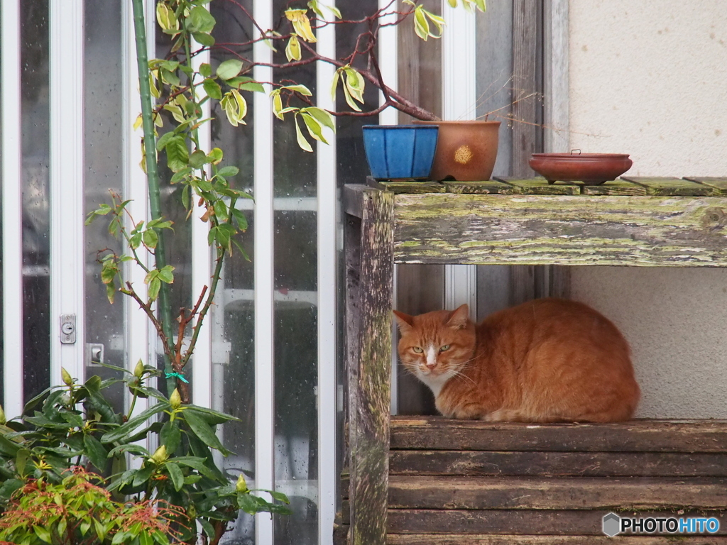 撮って出し(2023-12-26_15-33)-(E-M5-150(OLYMPU