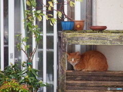 撮って出し(2023-12-26_15-33)-(E-M5-150(OLYMPU