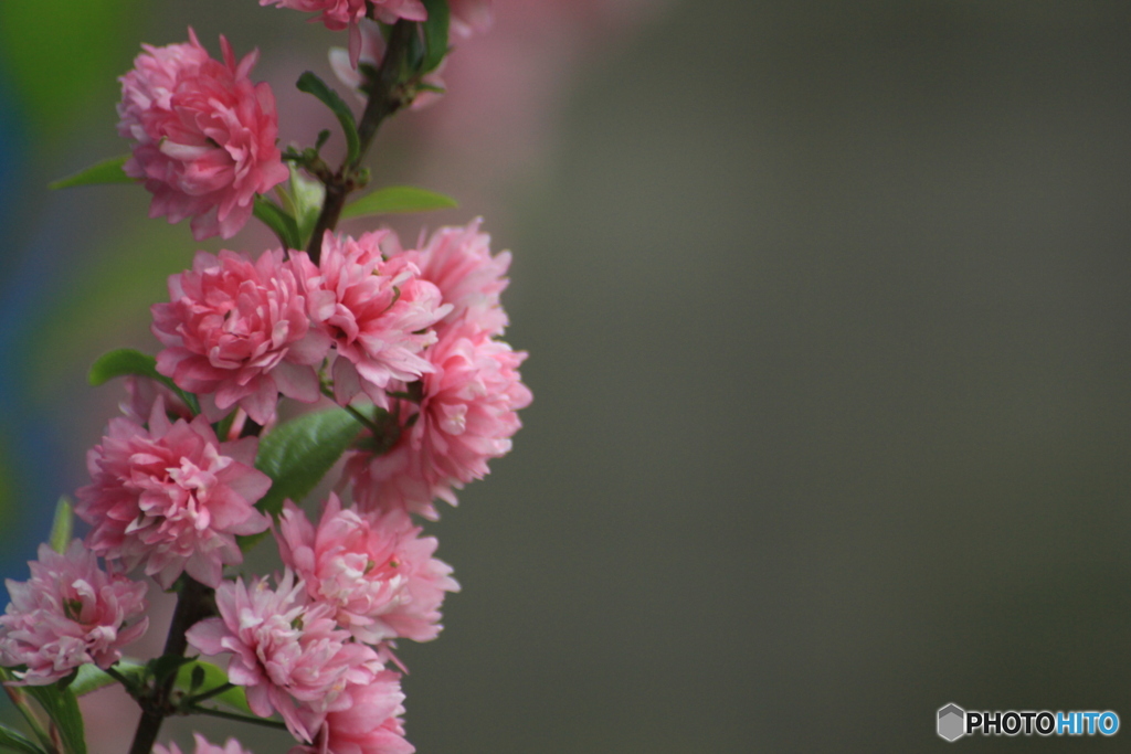 撮って出し(2025-05-06_15-18)-(Canon EOS 60D-3