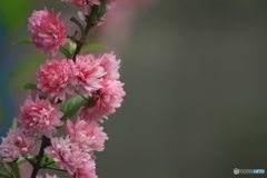 撮って出し(2025-05-06_15-18)-(Canon EOS 60D-3