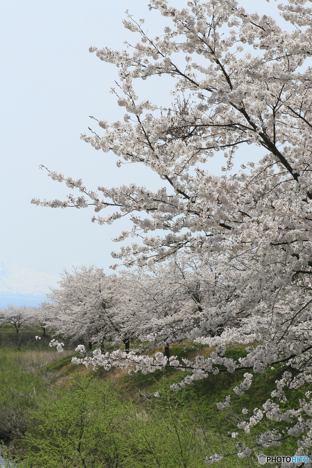 撮って出し-Canon EOS 6D-90.0-41_04_11-26