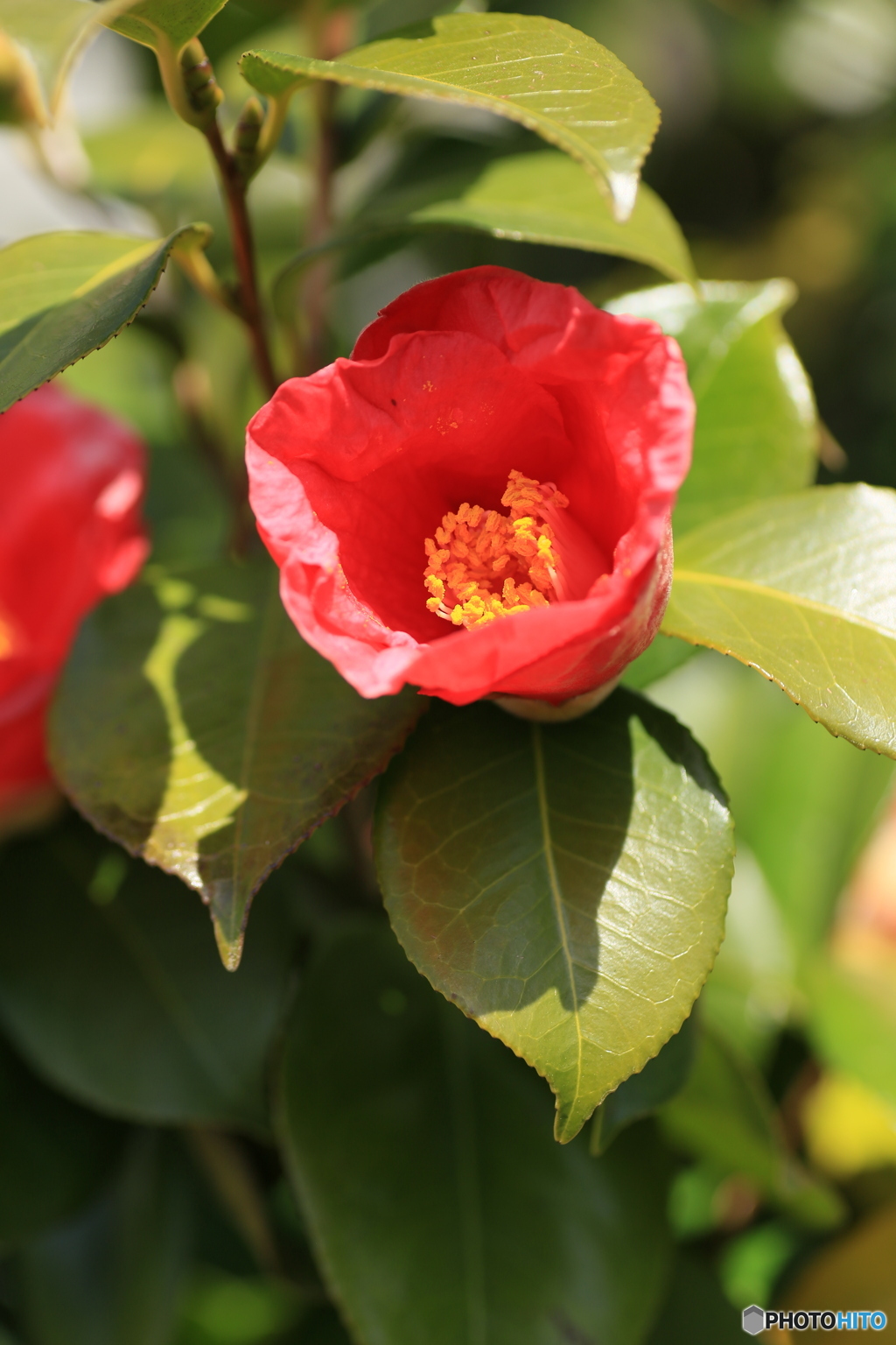 撮って出し(2024-04-08_11-01)-(Canon EOS 6D-90