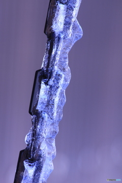 撮って出し(2025-01-11_11-15)-(Canon EOS 60D-2