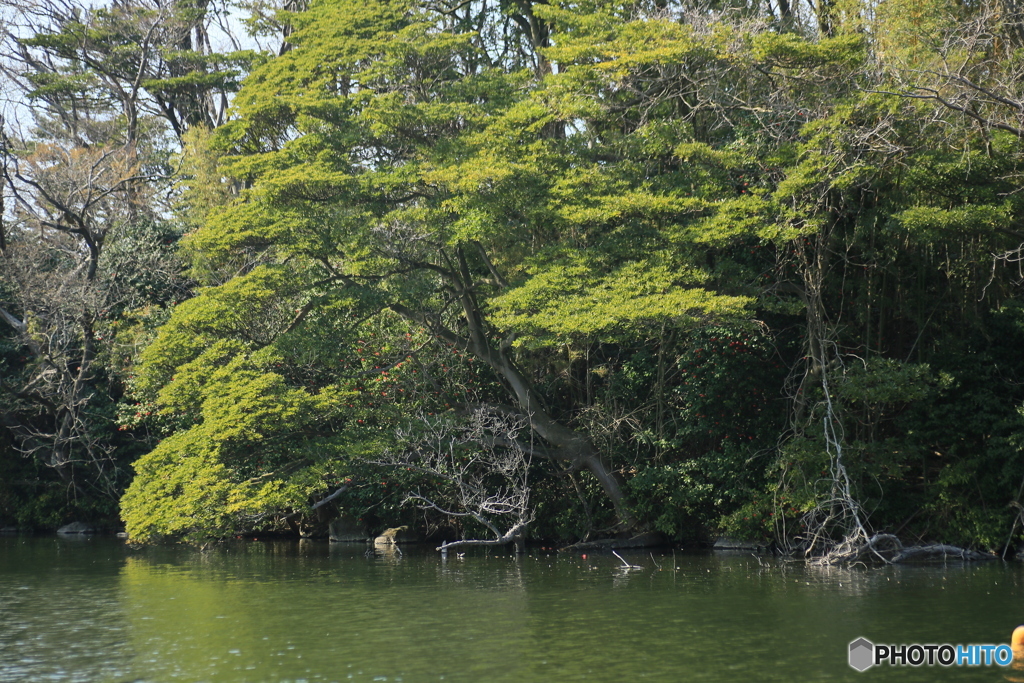 撮って出し(2024-04-12_14-58)-(Canon EOS 6D-90