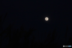 撮って出し(2025-11-05_16-51)-(Canon EOS 60D-1