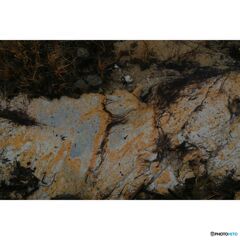 撮って出し(2023-10-16_10-43-18)-EF28-135mm f-