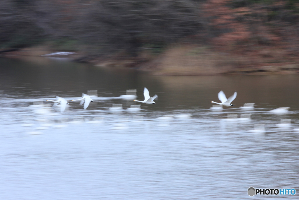 撮って出し(2024-12-15_08-25)-(Canon EOS 60D-1