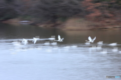 撮って出し(2024-12-15_08-25)-(Canon EOS 60D-1