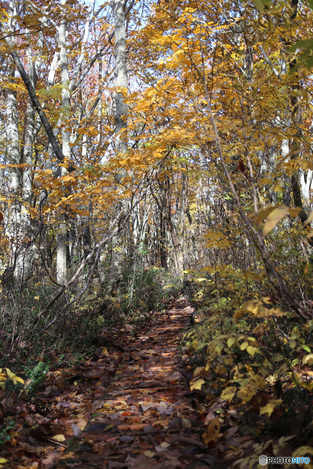 撮って出し(2025-11-04_09-50)-(Canon EOS 6D-38