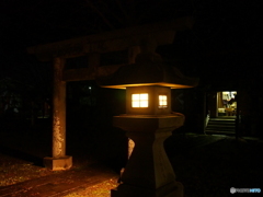 撮って出し(2024-01-01_00-22)-(E-M5-17(OLYMPUS