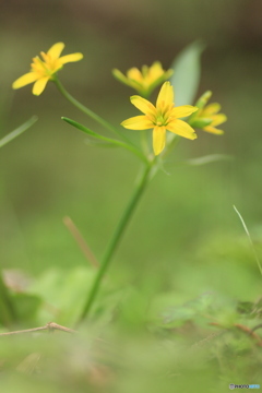 撮って出し(2025-04-06_09-10)-(Canon EOS 60D-9