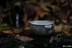 撮って出し(2025-11-07_12-05)-(Canon EOS 6D-90