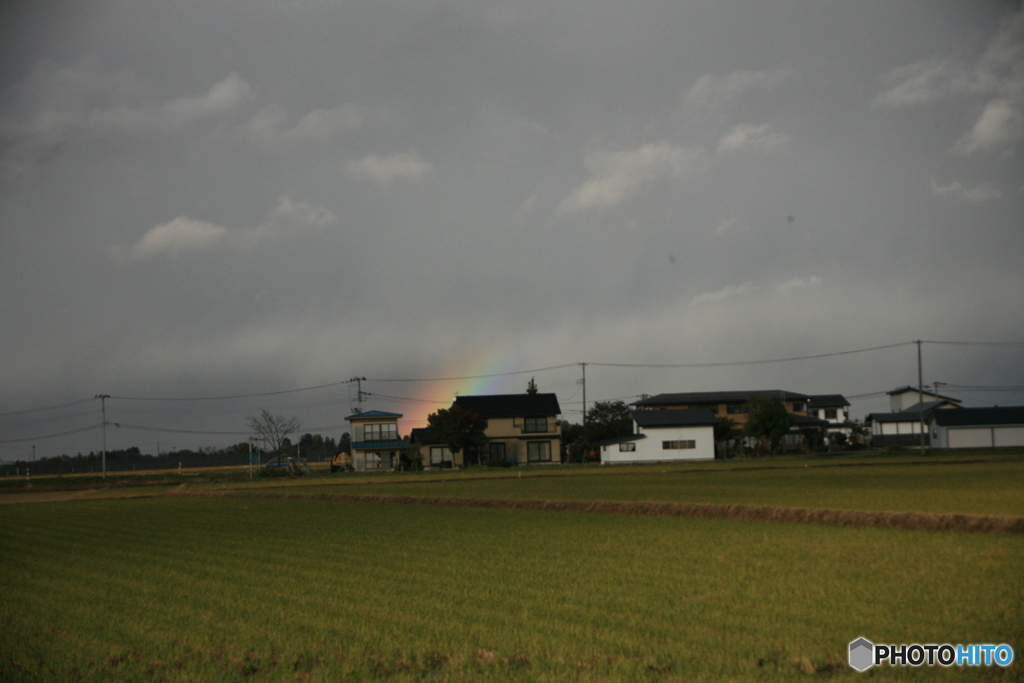 撮って出し(2024-11-07_14-19)-(Canon EOS 5D-80