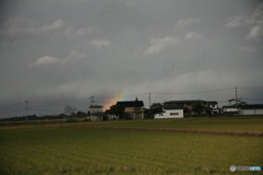 撮って出し(2024-11-07_14-19)-(Canon EOS 5D-80