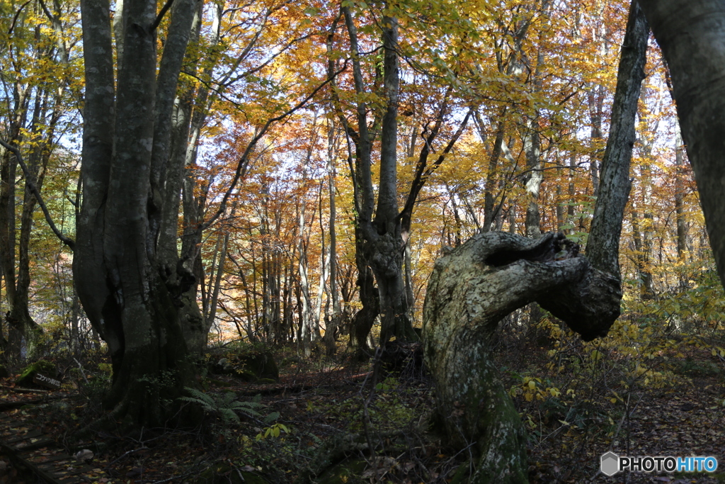 (2025-11-04_09-46)-(Canon EOS 6D-28