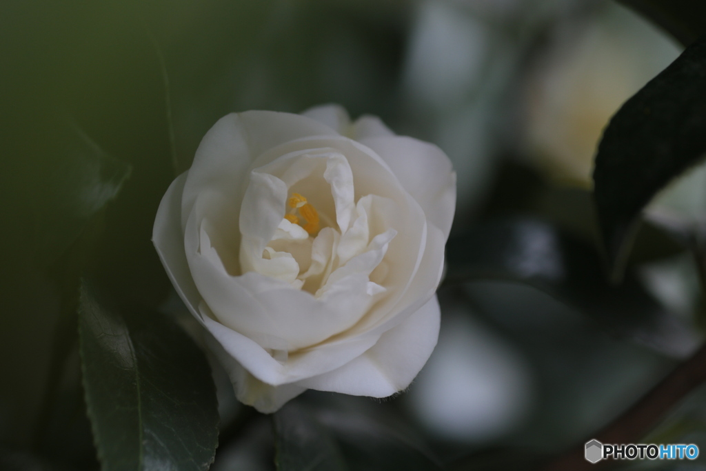 撮って出し(2024-04-17_16-28)-(Canon EOS 6D-90