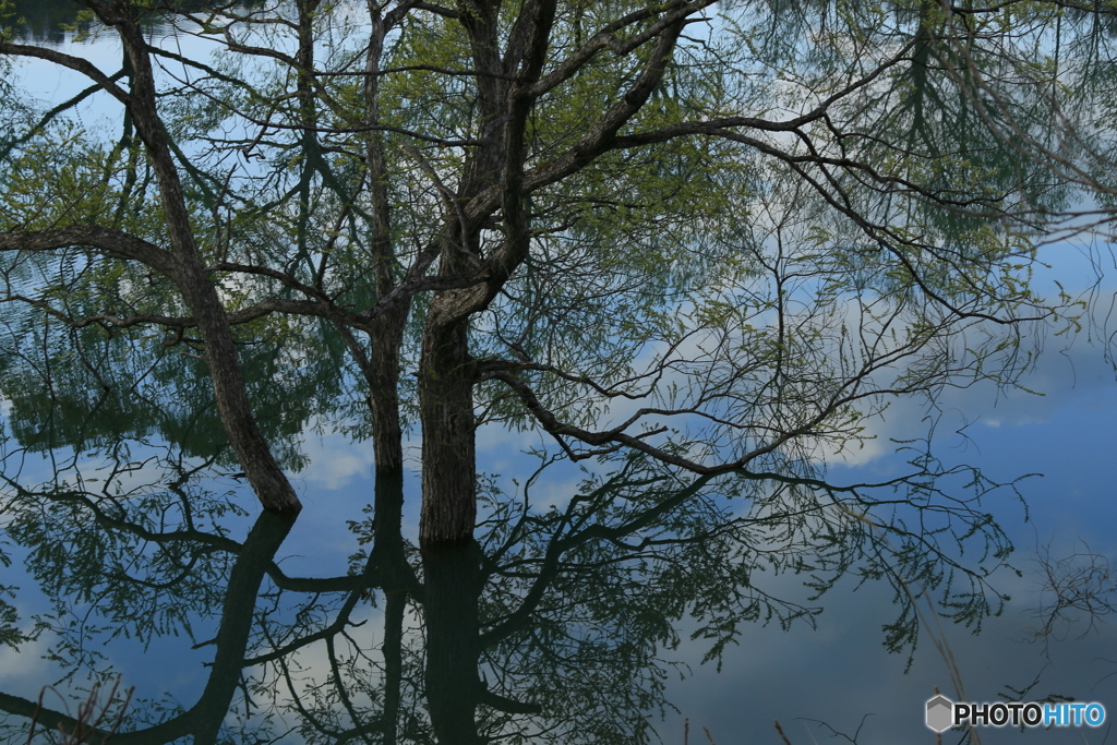 撮って出し-Canon EOS 6D-100.0-41_04_24-0