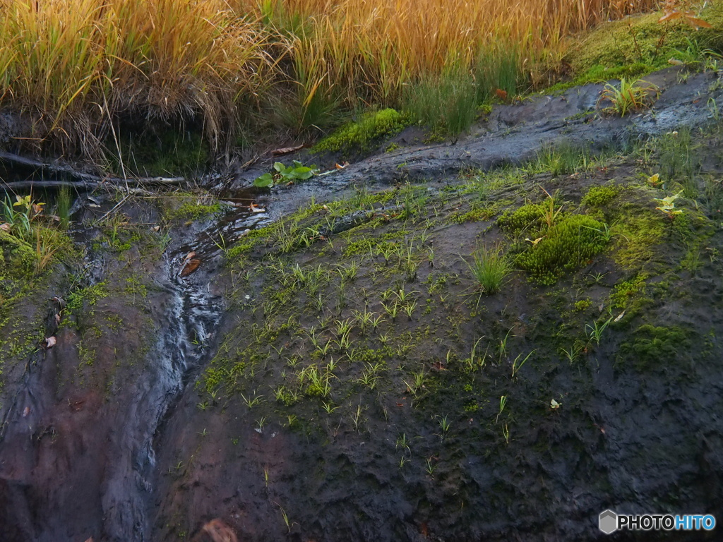 撮って出し-E-M5-63.0-23_10_15_PA155738-0