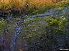 撮って出し-E-M5-63.0-23_10_15_PA155738-0