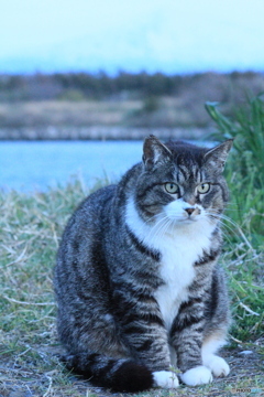 撮って出し(2024-04-23_18-26)-(Canon EOS 60D-9