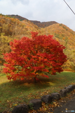 撮って出し(2025-11-07_14-14)-(Canon EOS 6D-28