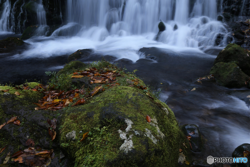 撮って出し(2025-11-04_07-09)-(Canon EOS 6D-28
