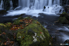 撮って出し(2025-11-04_07-09)-(Canon EOS 6D-28
