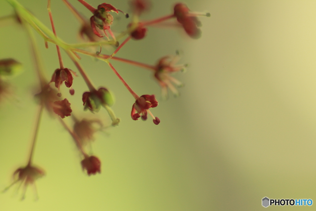 撮って出し(2024-05-04_14-15)-(Canon EOS 60D-9