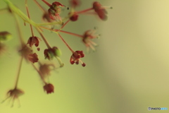 撮って出し(2024-05-04_14-15)-(Canon EOS 60D-9