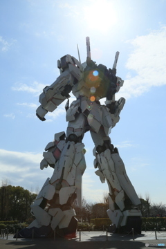 撮って出し(2024-03-07_13-49)-(Canon EOS 6D-41