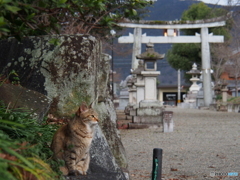 撮って出し(2024-03-06_13-53)-(E-M5-52(OLYMPUS