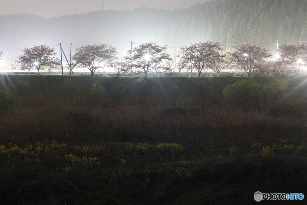撮って出し(2024-04-18_20-00)-(Canon EOS 6D-90