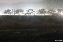 撮って出し(2024-04-18_20-00)-(Canon EOS 6D-90