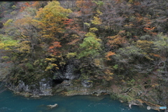 撮って出し(2025-11-07_12-34)-(Canon EOS 6D-24