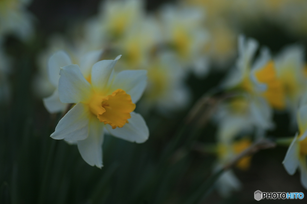 撮って出し-Canon EOS 6D-90.0-41_04_13-3