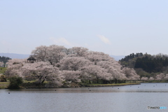 撮って出し(2025-04-19_10-56)-(Canon EOS 6D-90