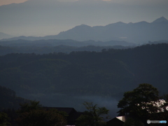 撮って出し(2024-05-15_06-03)-(E-M5-150(OLYMPU