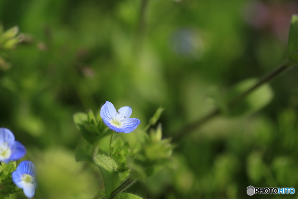 撮って出し-Canon EOS 6D-90.0-41_04_11-2