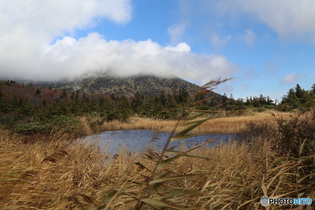 撮って出し(2025-10-27_10-16)-(Canon EOS 6D-35