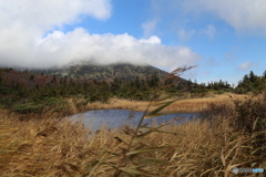 撮って出し(2025-10-27_10-16)-(Canon EOS 6D-35