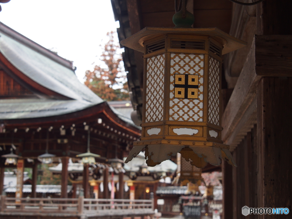 撮って出し(2024-03-06_14-43)-(E-M5-31(OLYMPUS
