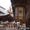 撮って出し(2024-03-06_14-43)-(E-M5-31(OLYMPUS