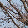 撮って出し-E-M5-150.0-41_03_09-0