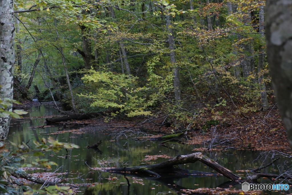 撮って出し(2025-10-27_06-40)-(Canon EOS 6D-90