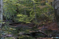 撮って出し(2025-10-27_06-40)-(Canon EOS 6D-90