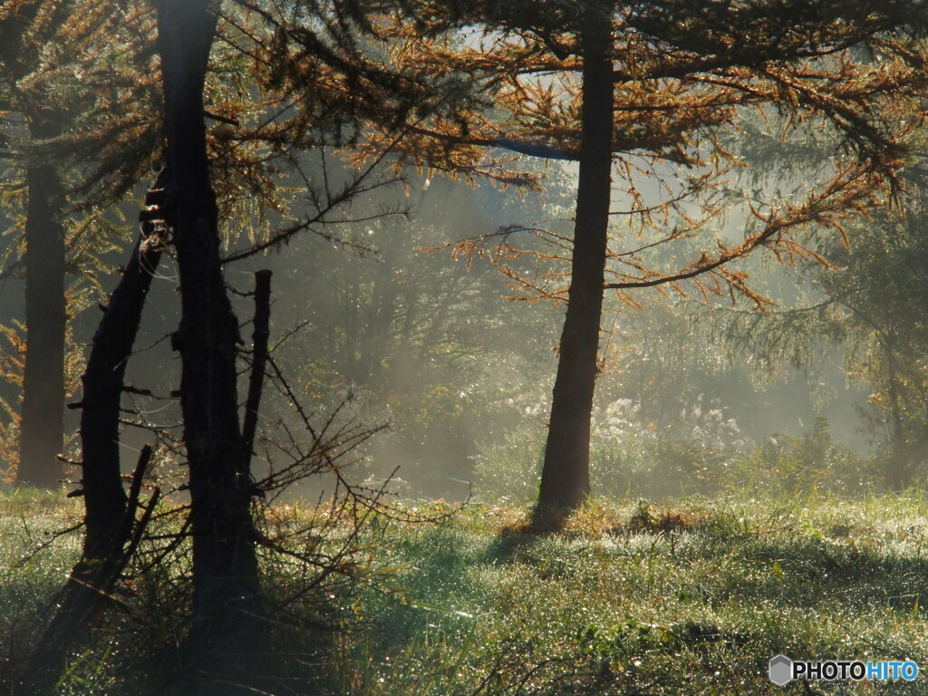 撮って出し-E-M5-90.0-22_10_30-0