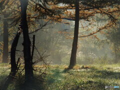 撮って出し-E-M5-90.0-22_10_30-0