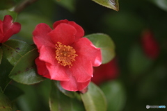 撮って出し(2024-03-31_10-09)-(Canon EOS 6D-90